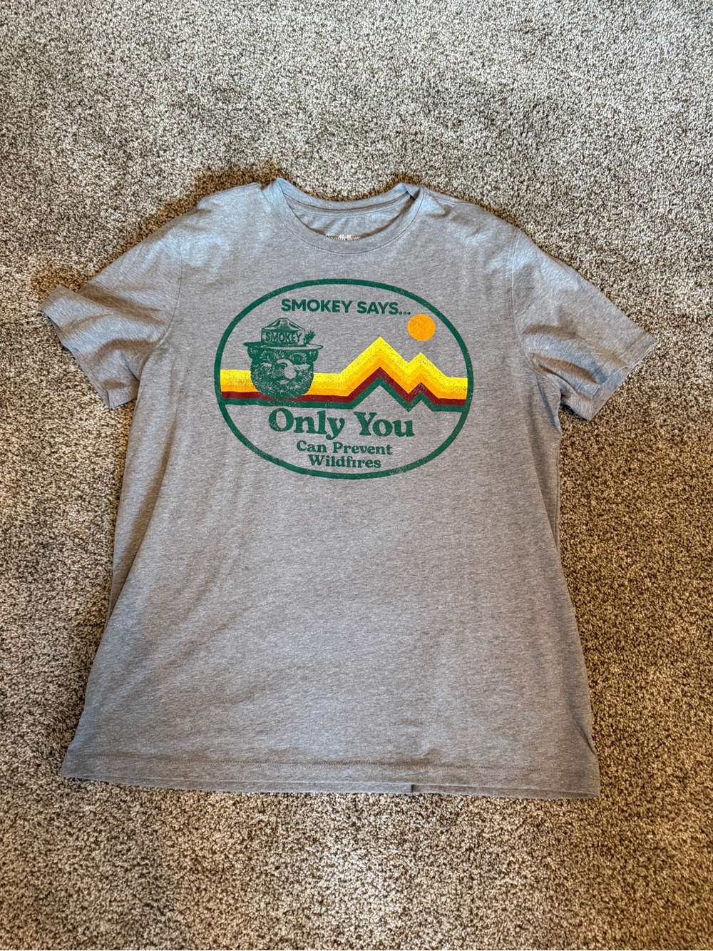 Goodfellow & Co Gray Smokey Bear Graphic Tee with Green and Yellow Accents